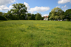 Wiese hinter der Maria-Hilf-Kapelle