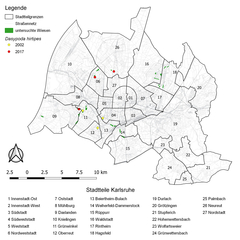 Verbreitung Dasypoda hirtipes